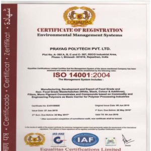 ISO14001 2004