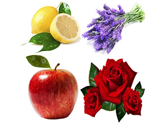 fragrance-masterbatches