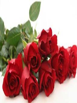 rose-fragrance-masterbatch